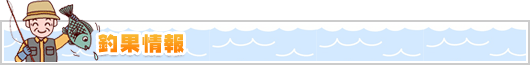 釣果情報